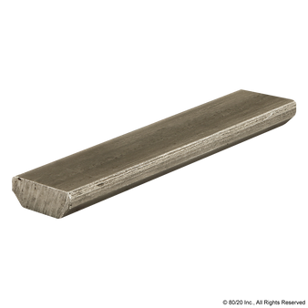 8901 | 10 Series Standard Slide-in T-Nut - Image 1