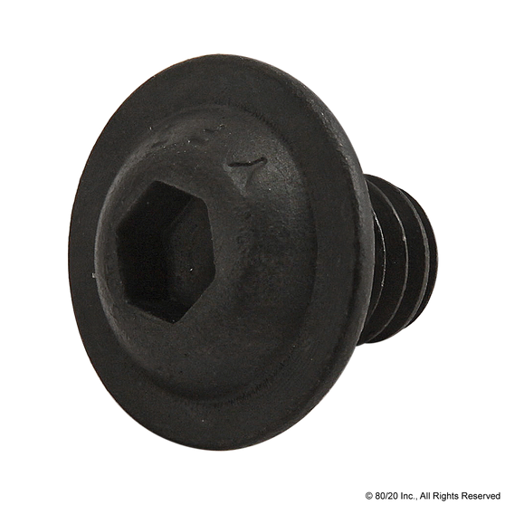 3390 | 1/4-20 x .375" Flanged Button Head Socket Cap Screw (FBHSCS) - Image 1