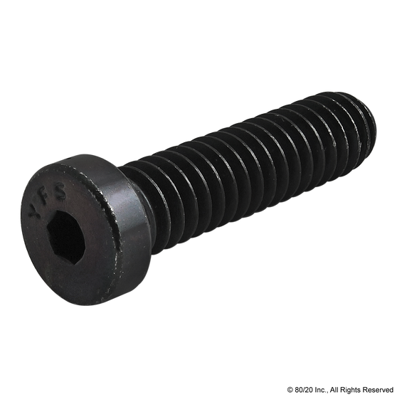 3017 | 1/4-20 x 1.000" Low Head Socket Cap Screw (LHSCS) - Image 1