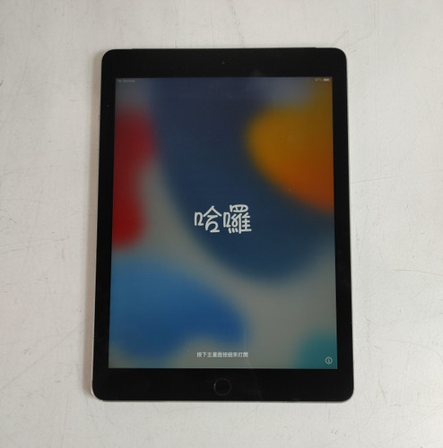 Apple iPad Air 2nd Gen A1567 64 GB iOS 15.8.6 (Wi-Fi + 4G) Unlocked