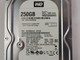Western Digital Recertified WD2500AAKX 250 GB SATA III 3.5 in Hard Drive