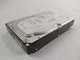 Lot of 2 Seagate ST1000NM0045 1 TB 3.5" SAS 3 Hard Drive Enterprise Hard Drive