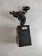Liteon Switching Power Supply 500 W 24 Pin ATX Desktop Power Supply 00PC789