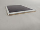 Apple iPad Air 2nd Gen A1566 64 GB iOS 15.8.8 (WiFi Only)