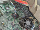 Vintage IBM Aptiva 2153-E2N AMD K6-2 266 MHz 128 MB SDRAM Desktop