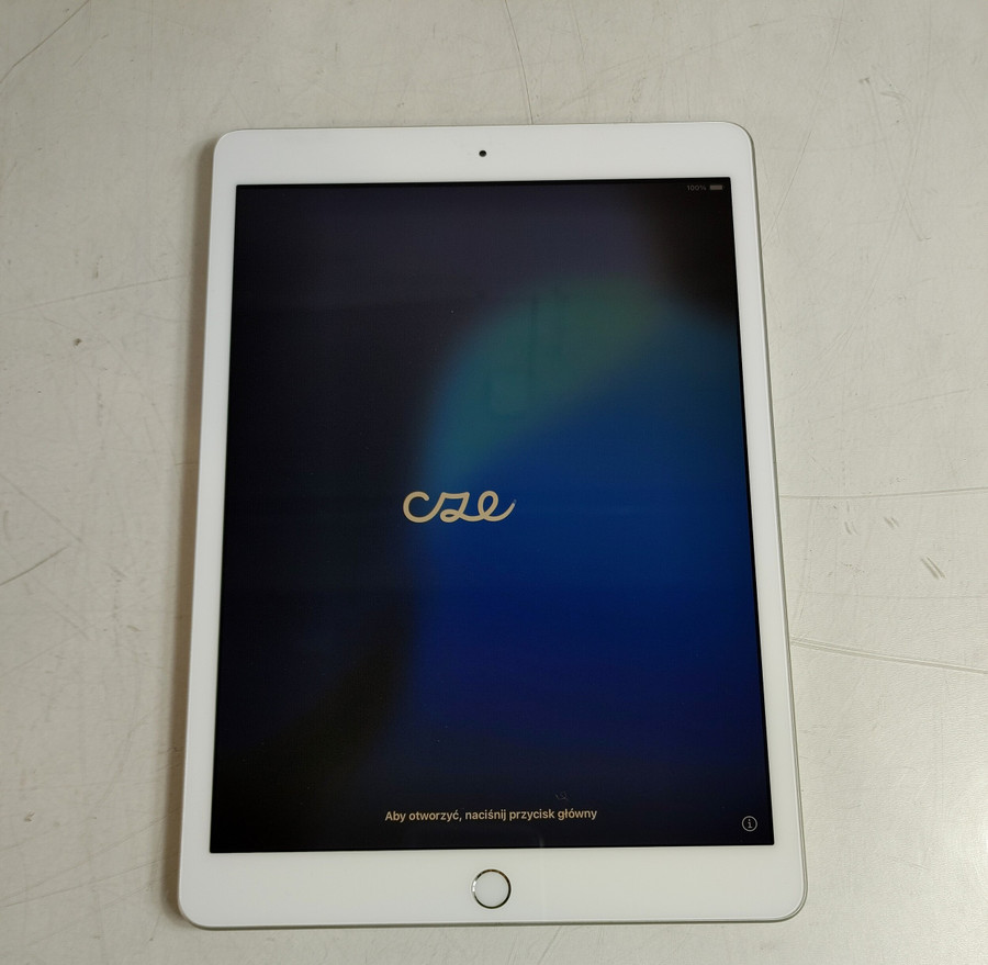Apple iPad 7th Gen A2197 32 GB iOS 18.7.5 (WiFi Only)