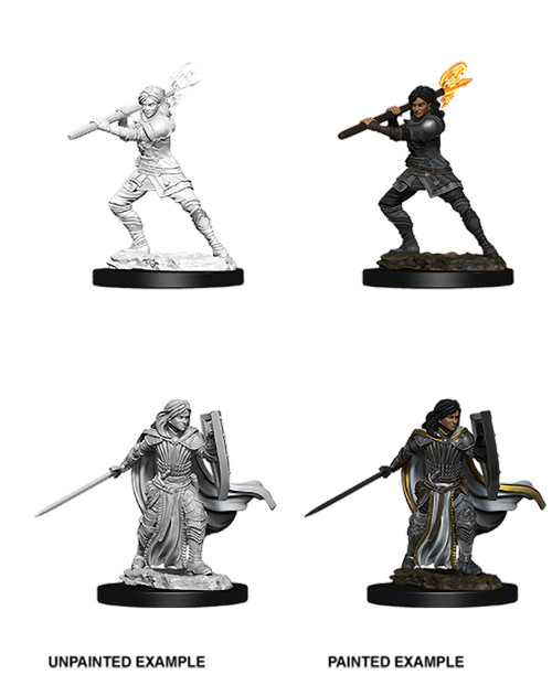 D&D Nolzur's Marvelous Unpainted Miniatures: Female Human Paladin