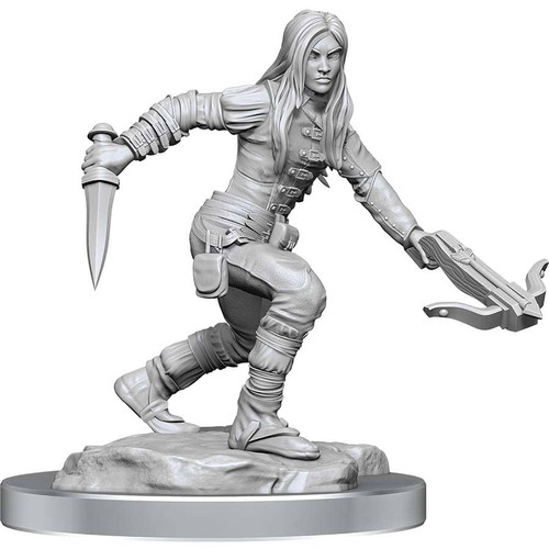 D&D Nolzur's Marvelous Unpainted Miniatures: Half-Elf Rogue