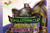 Digimon Evolution Cup 2026 Vol. 2 Entry