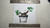 The Bonsai Diary