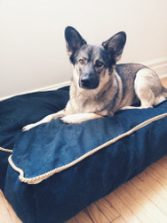 Premium Pet Beds