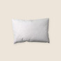13" x 17" 25/75 Down Feather Pillow Form