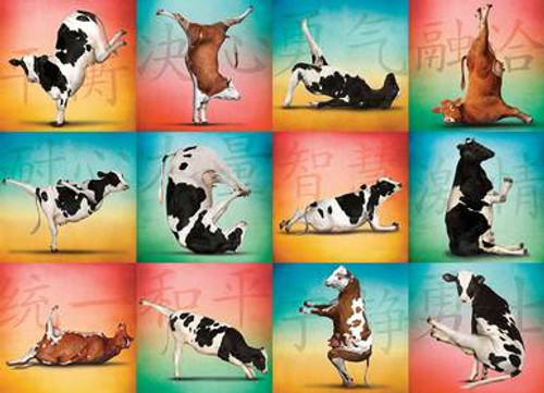 Cow Yoga Puzzle Cow Yoga Puzzle