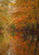 October 