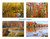 Photo Note Cards - Wisconsin Autumn