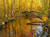 Allequash Creek Vilas County