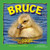 Bruce the Goose - Book