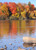 November