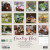 Country Chic 2025 Calendar-Back