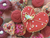 Homemade Cookie Sampler Red Valentine Heart