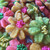 Spring Spritz Easter Flowers
