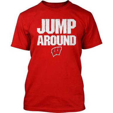 Wisconsin Funny Sport T-Shirt includes Packers Bucks Brewers Badgers  Cheesehead