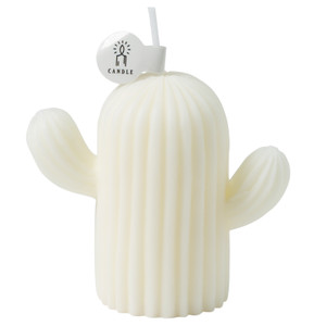 Ventray Home Cactus Shaped Scented Candle Ventray Home Cactus Shaped Scented Candle