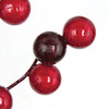 Red/Burgundy Berry Close Up