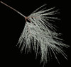 C-160047
30 Glittered Pine Spray 
Silver