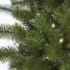 Close - Up of Doulgas Fir Tips