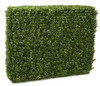 35 x 11 x 30 Inch Boxwood Hedge