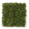 A-174200
20" x 20" Polyblend Outdoor
Wintergreen Boxwood
