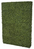 48" Long x 8" Wide x 65" Height
Outdoor Boxwood Hedge