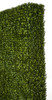 Side View  Boxwood Hedge