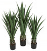 36" , 45" and 52" Agave Plants in Weighted Bases
Limited UV Protection / Fire Retardant