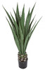 AUR-190710
52" Agave Plant