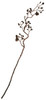 55" Glittered Pine Cone Twig Branch