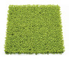 20" x 20" Lime Green Boxwood Mat