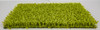 Lime Green Boxwood Edge