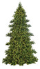 16' Oregon Fir Panel Tree