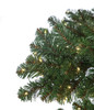 Close Up of Fir with LED Lights