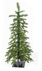 A-210024B - 3' Celina Fir Tree with Black Metal Base
Battery Operated LED Rice Lights