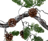 Close Up of Twig Vine with Pine and Cones