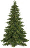 C-9754  - Nikko Fir with No Lights