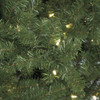 Close Up of Nikko Fir Tips with LED Lights
Short Needle