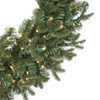 Close Up of Georgia Fir with PE/PVC Tips and LED Rice Lights