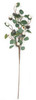 A-240310
36" Natural Touch Eucalyptus Branch