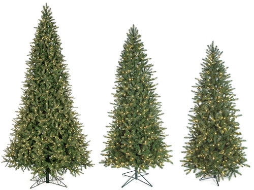 Slim Spruce Trees