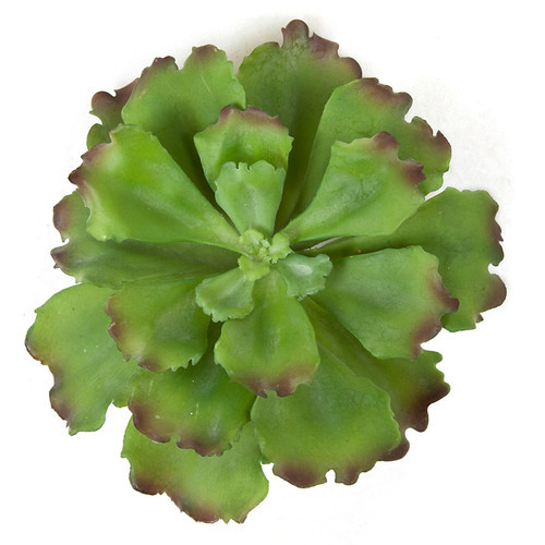 A-161450
 8.5" Width
 Ruffled Echeveria Pick