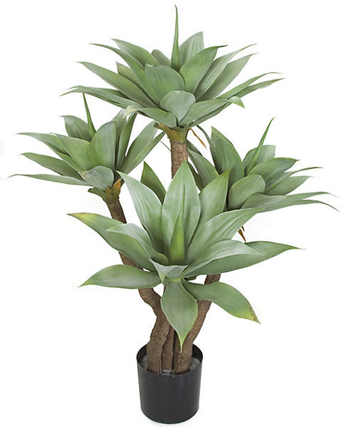 48" Potted Agave Tree
with Limited UV Protection